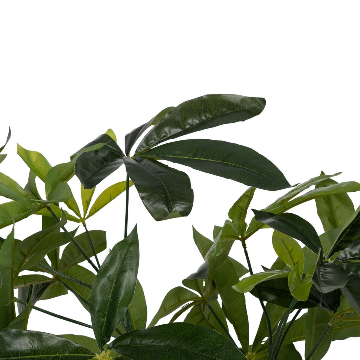 Decoratieve plant 50 X 50 X 70 CM